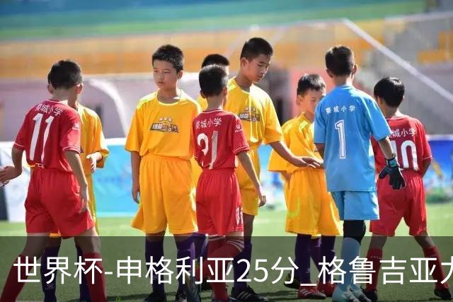 世界杯-申格利亚25分 格鲁吉亚力克委内瑞拉
