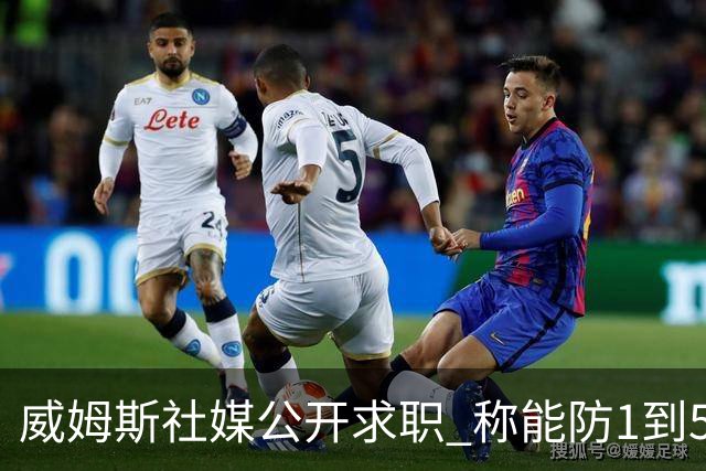 威姆斯社媒公开求职 称能防1到5号位