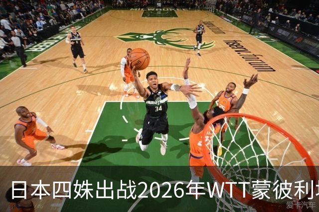 日本四姝出战2026年WTT蒙彼利埃冠军赛，张本美和冲冠军赛四连冠