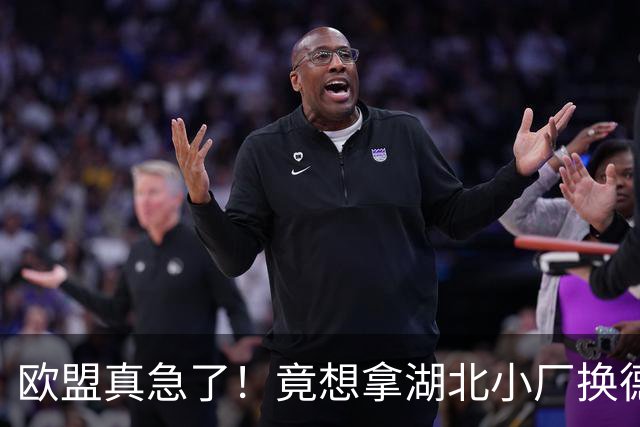 欧盟真急了！竟想拿湖北小厂换德国12人作坊，阿斯麦供应链要断了