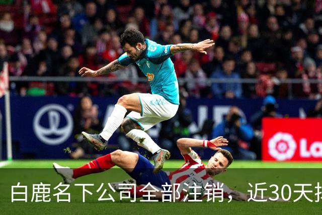 白鹿名下公司全部注销，近30天掉粉超144万，独立运营过渡期引关注
