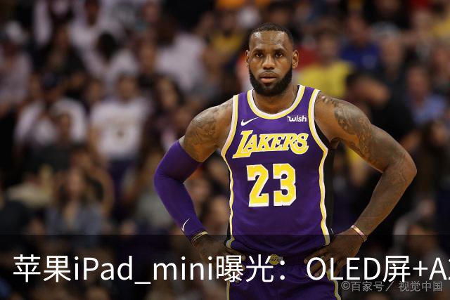 苹果iPad mini曝光：OLED屏+A20芯，售价或涨至799美元