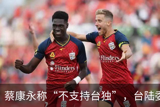 蔡康永称“不支持台独”，台陆委会又在狡辩，忽略重要一点
