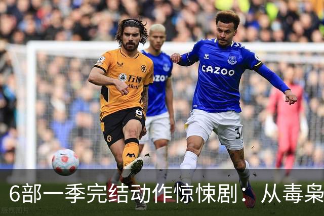 6部一季完结动作惊悚剧：从毒枭运货到卧底复仇，一晚刷完