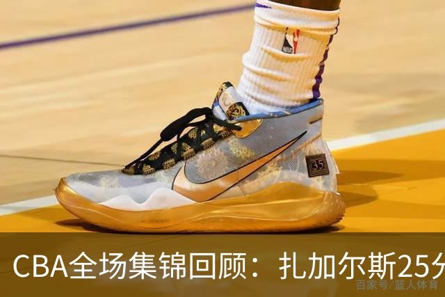 CBA全场集锦回顾：扎加尔斯25分，浙江力克新疆